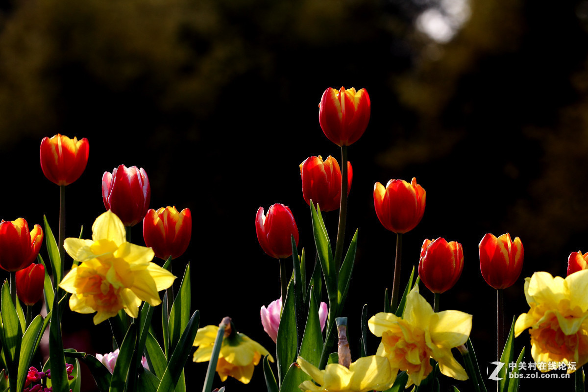 #版主坐堂#小五星空(中国)2016年3月精品荟萃