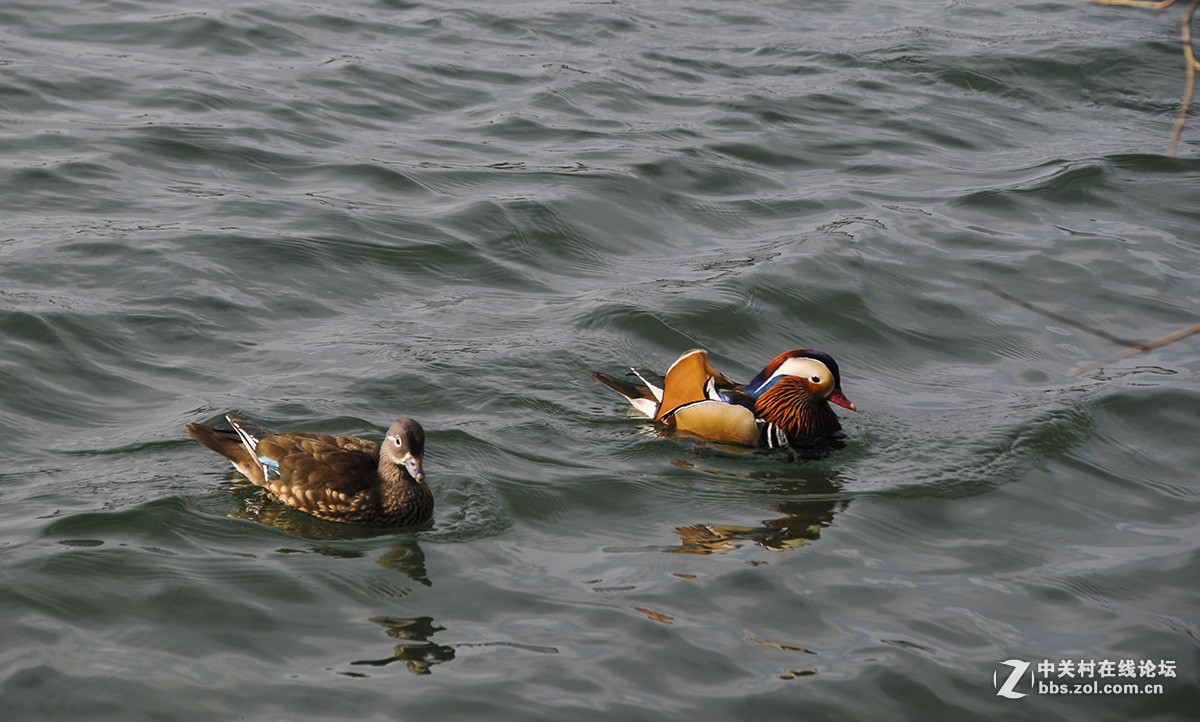 #版主坐堂#小五星空(中国)2016年3月精品荟萃