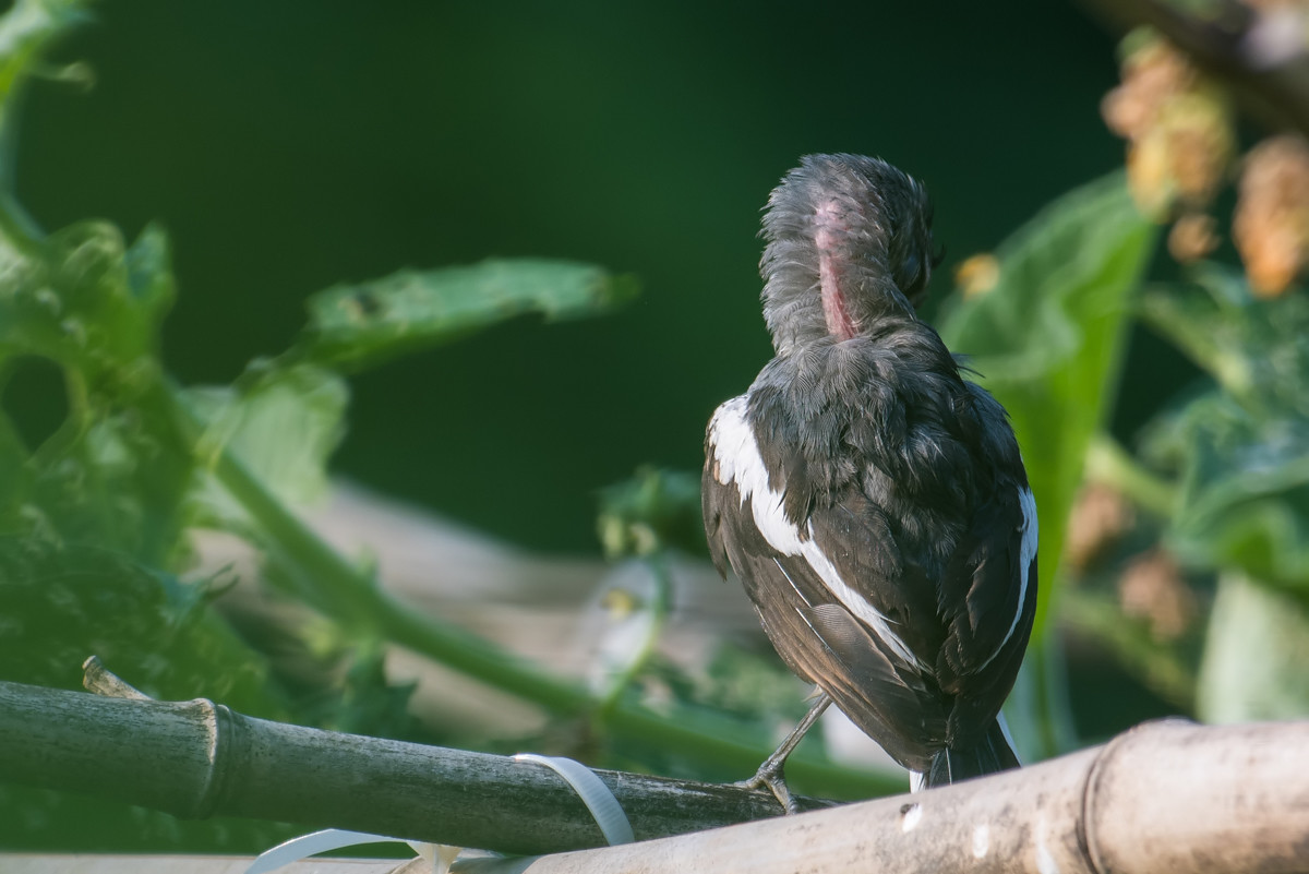 我的背影美不美！！