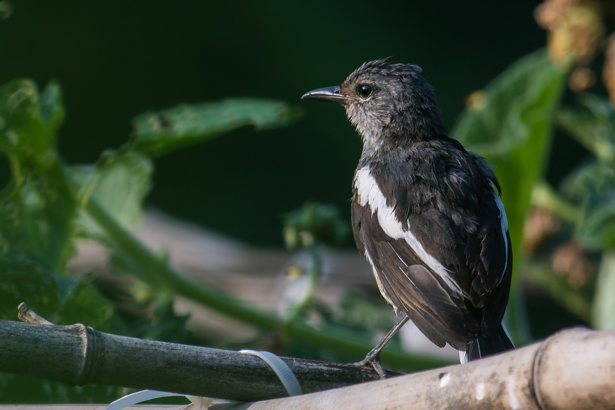 我的背影美不美！！
