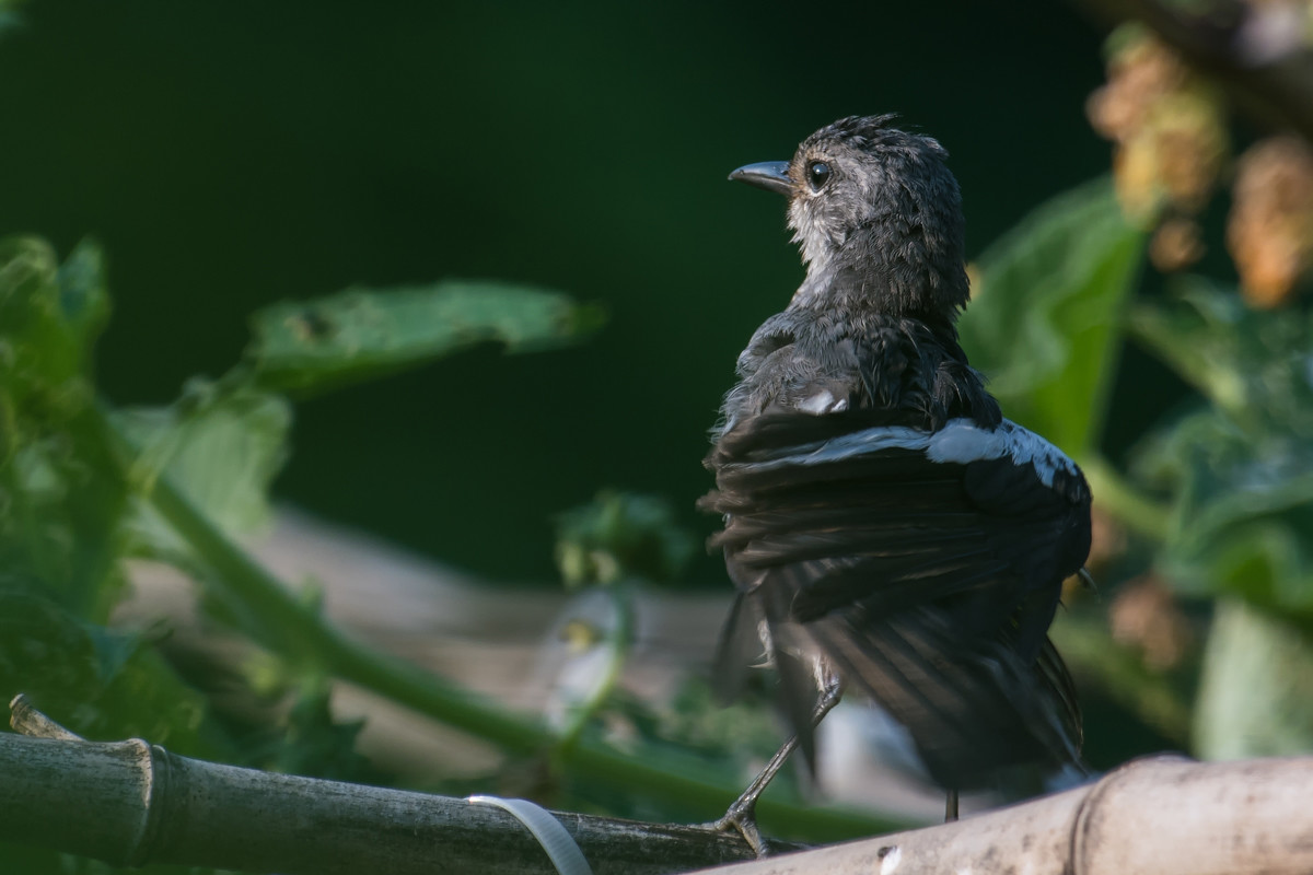 我的背影美不美！！