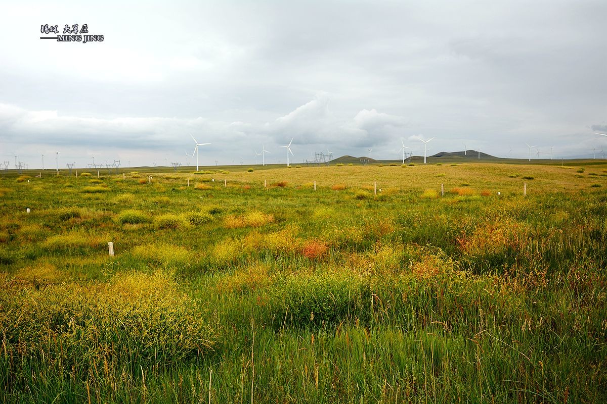 乌云密布你能阻止我们吗 —— 锡林郭勒大草原。（一）