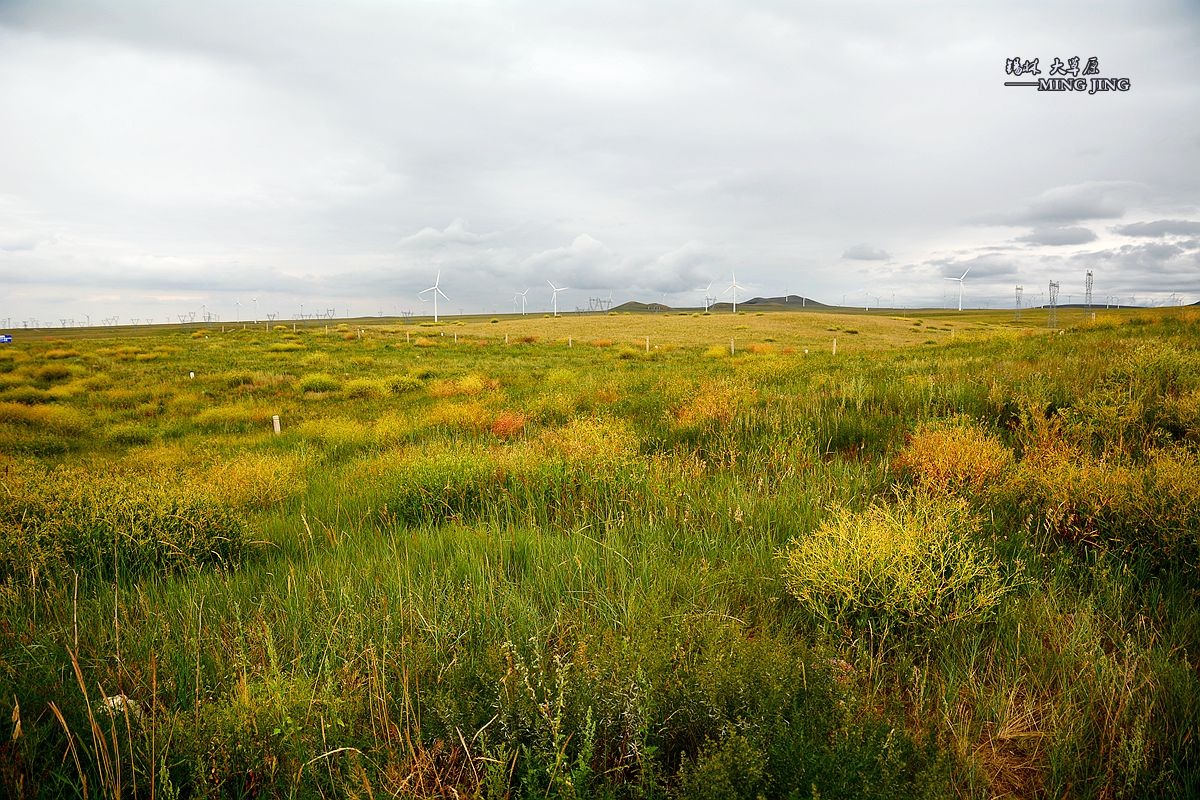 乌云密布你能阻止我们吗 —— 锡林郭勒大草原。（一）