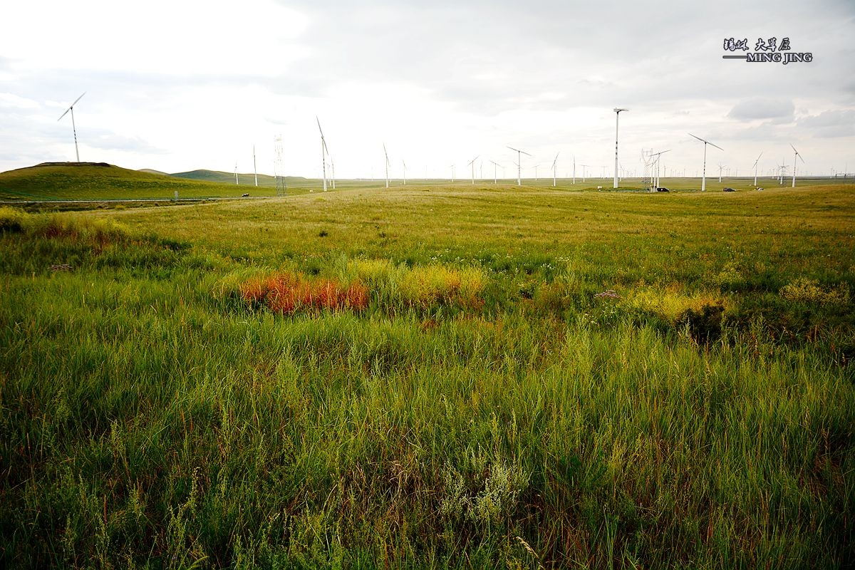 乌云密布你能阻止我们吗 —— 锡林郭勒大草原。（一）