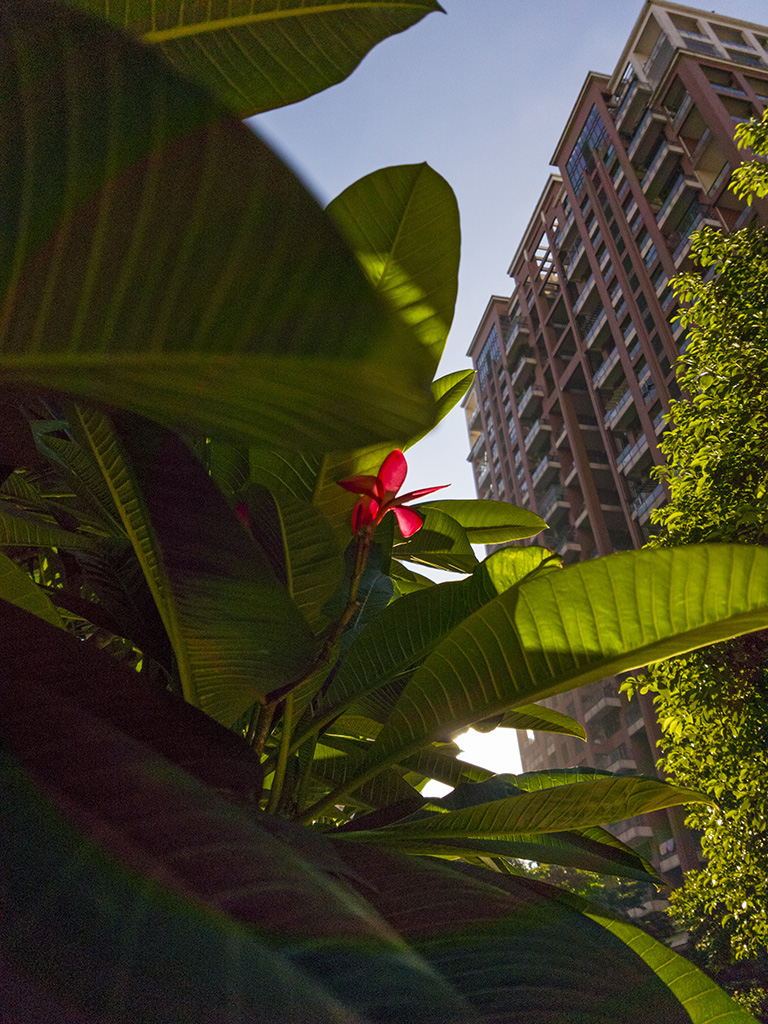 祝贺友利好友荣任东莞版主