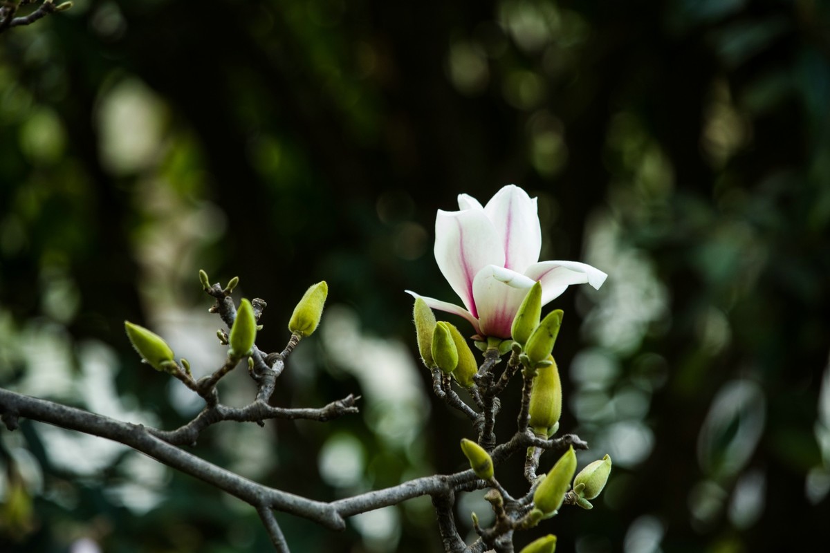 越来越喜欢这只镜头 (DA55-300WR PLM)不是它素质有多好。主要是价钱低