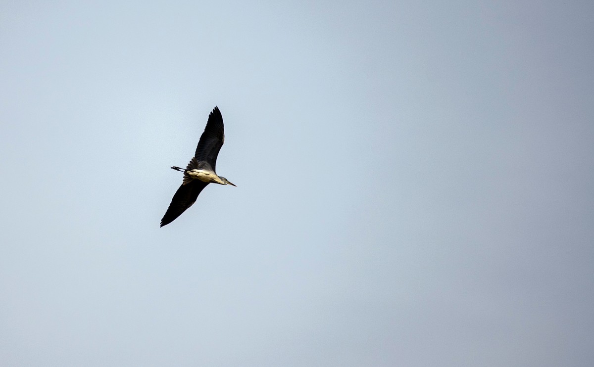 越来越喜欢这只镜头 (DA55-300WR PLM)不是它素质有多好。主要是价钱低