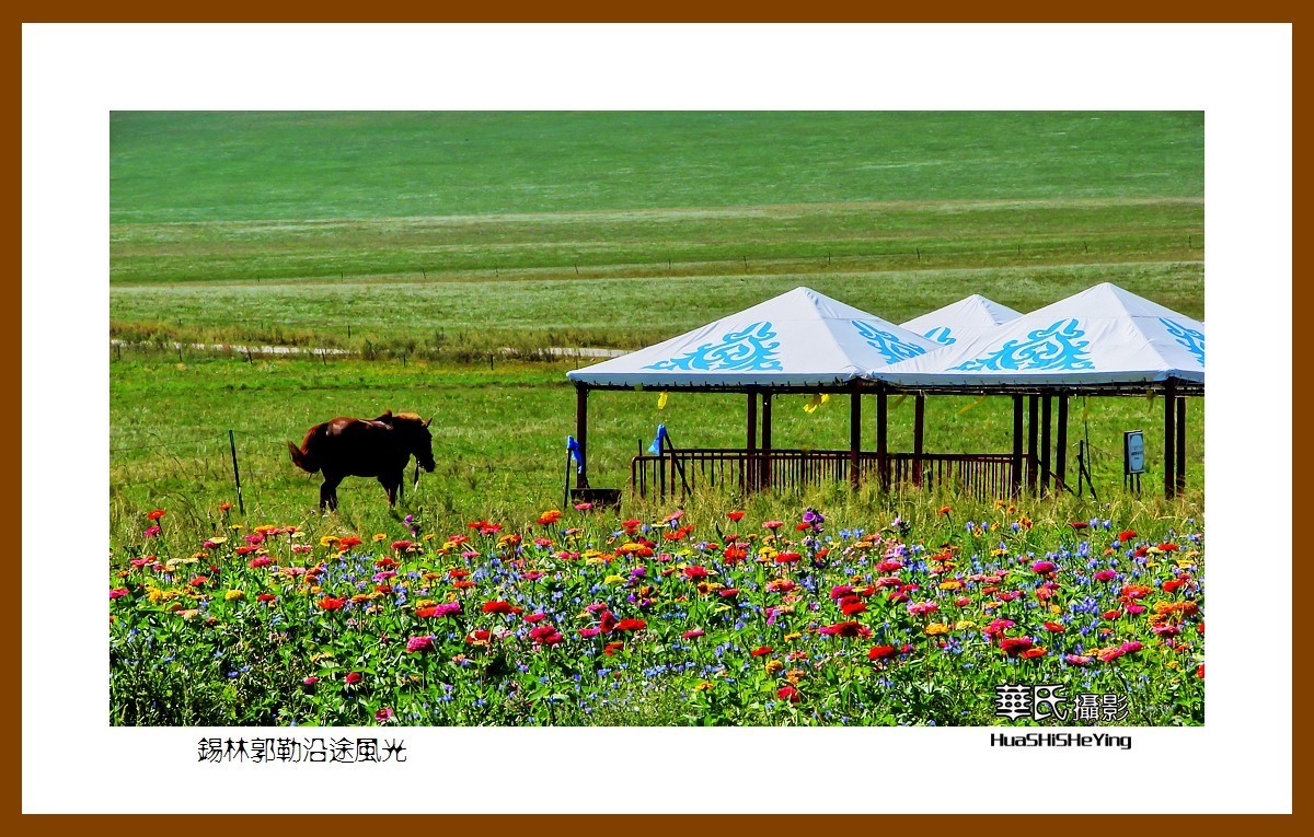 感受蒙古风——锡林郭勒沿途风光（内蒙锡林郭勒盟）