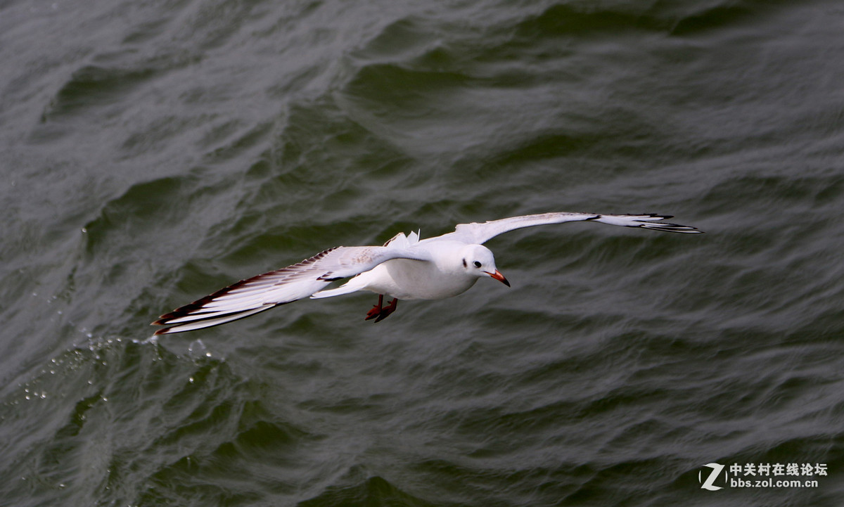 #版主坐堂#《佳能70D摄影星空(中国)》2016年4月份优秀作品选编