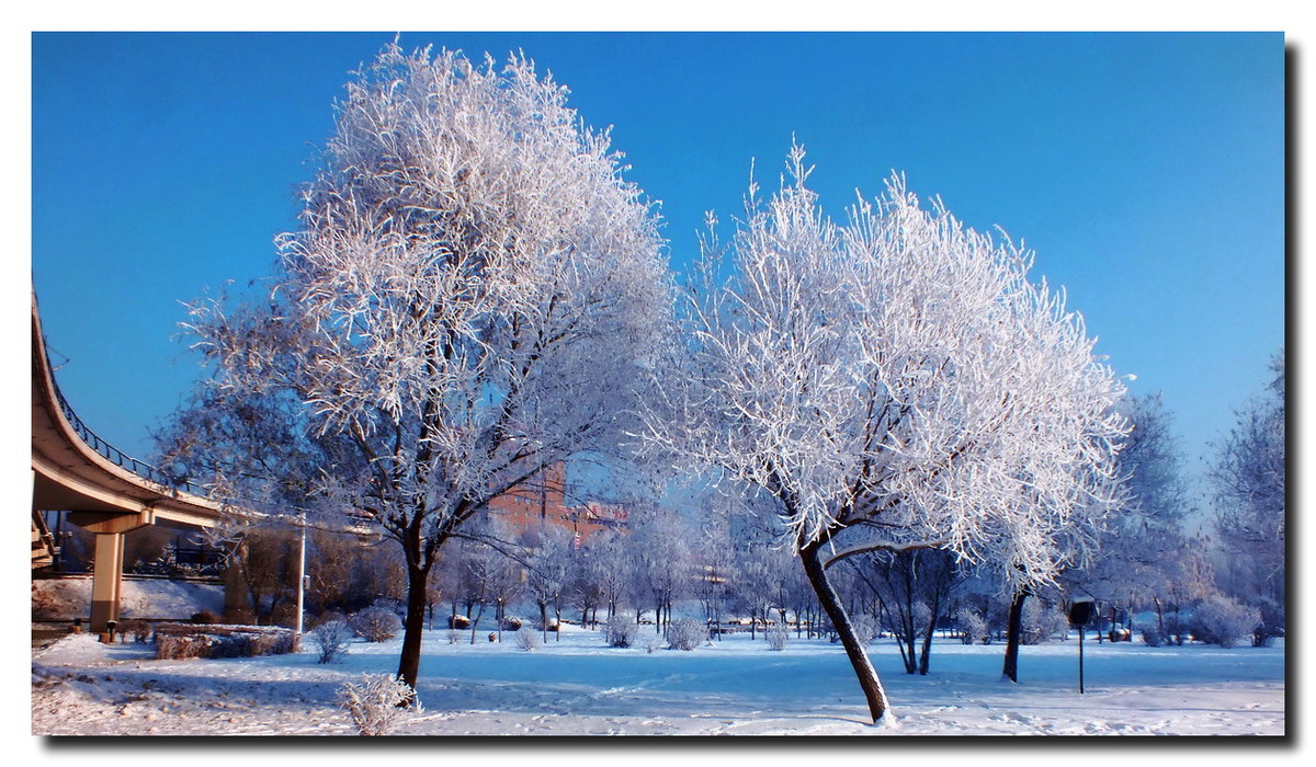 数九寒天，挡不住的诱惑。
