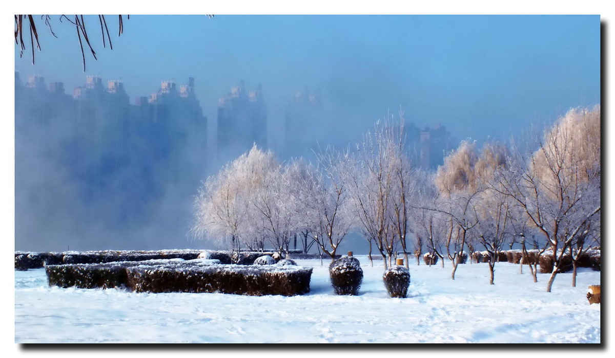 数九寒天，挡不住的诱惑。