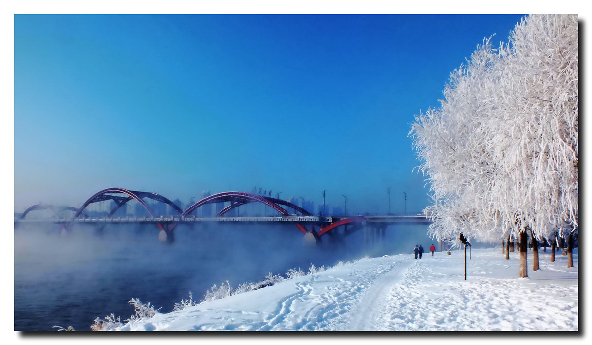 数九寒天，挡不住的诱惑。