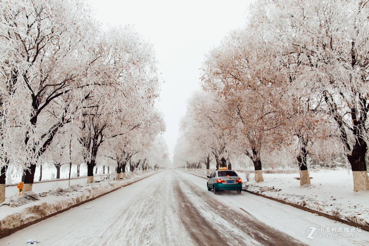 24L雾凇景色加人像