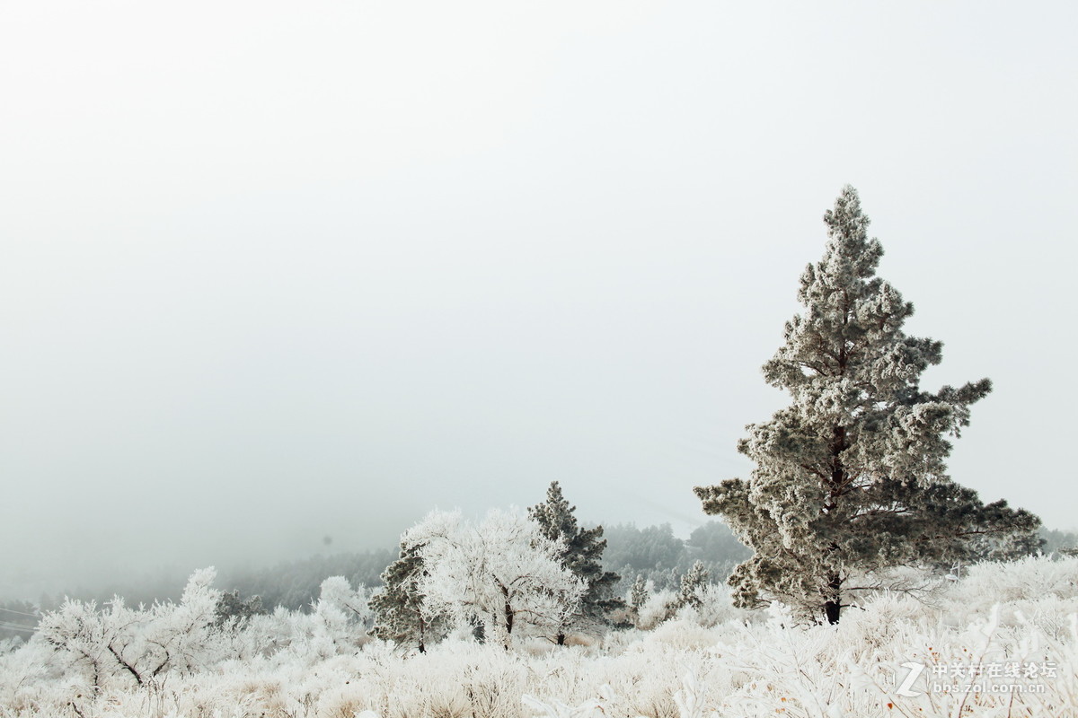 24L雾凇景色加人像