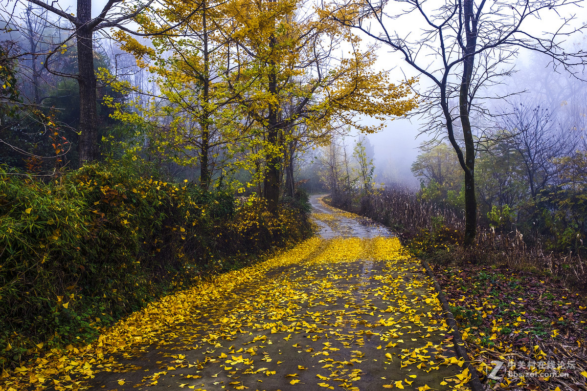 富士X100T的色彩感觉