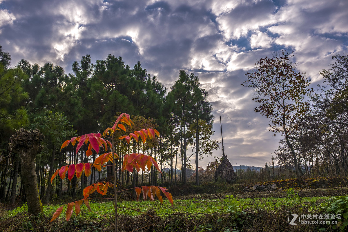 富士X100T的色彩感觉