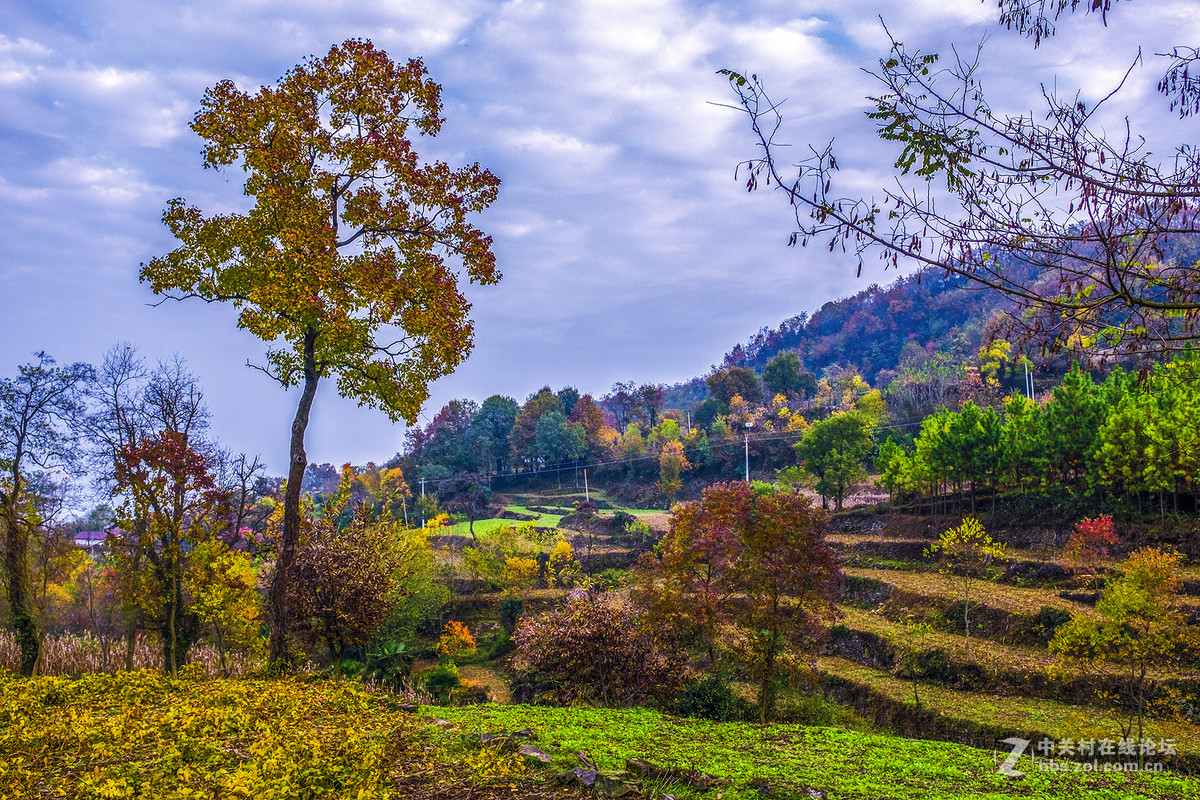 富士X100T的色彩感觉