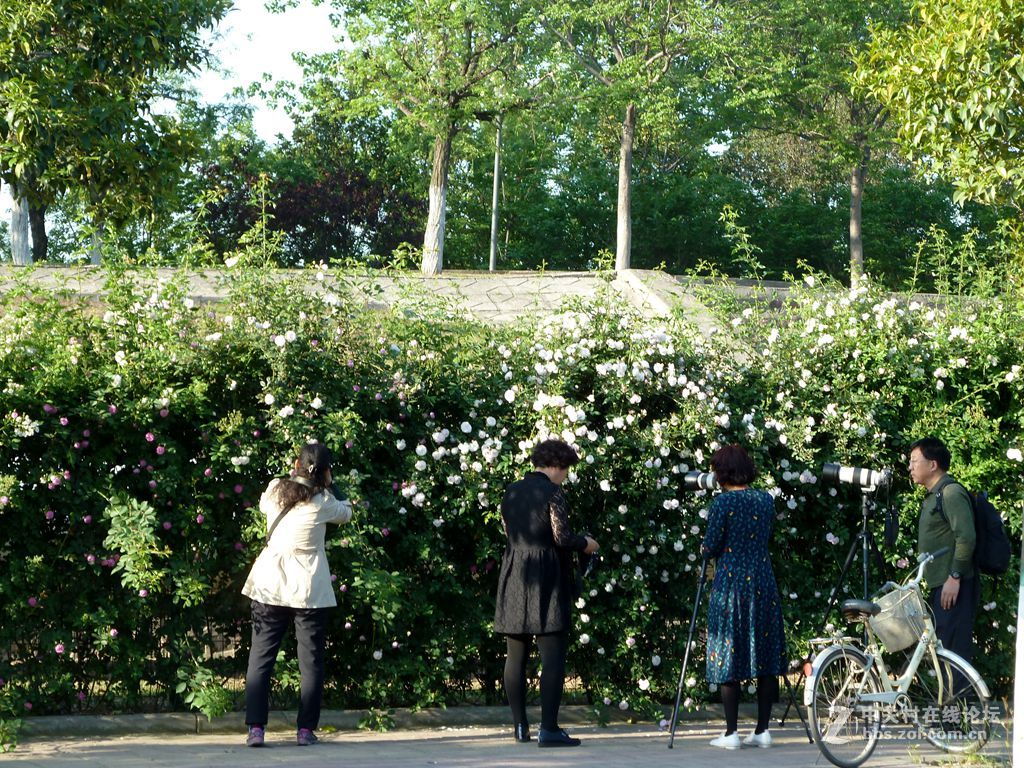 花开时节又逢君