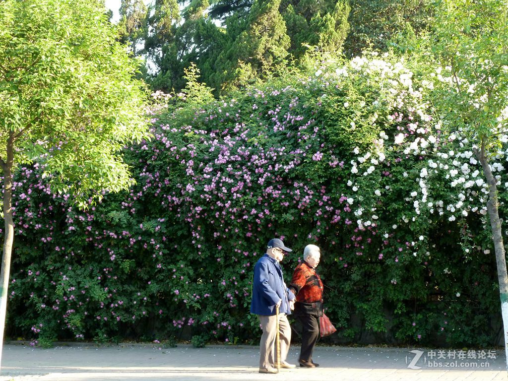 花开时节又逢君