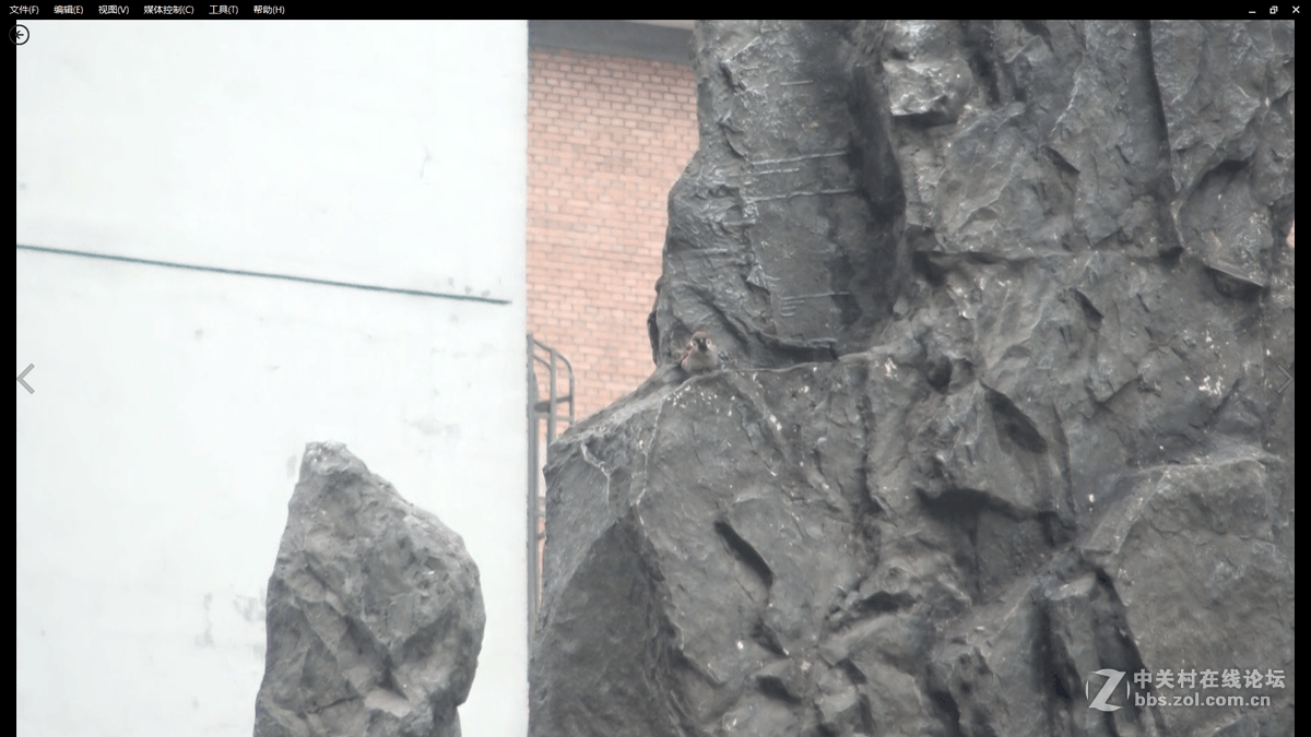 求高人指点拍摄中的问题