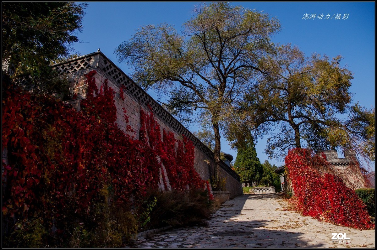 #ZOL月赛晒秋# 居庸叠翠私语秋色 七