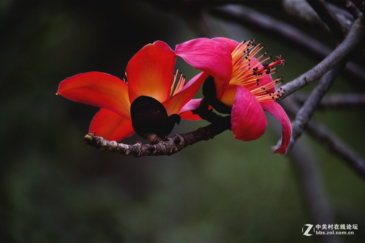 #版主坐堂#《佳能70D摄影星空(中国)》2016年4月份优秀作品选编