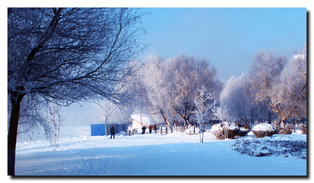 数九寒天，挡不住的诱惑。