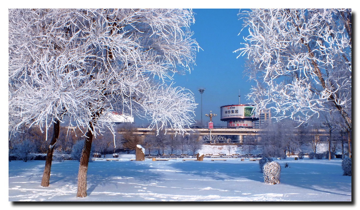 数九寒天，挡不住的诱惑。