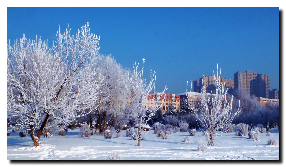 数九寒天，挡不住的诱惑。