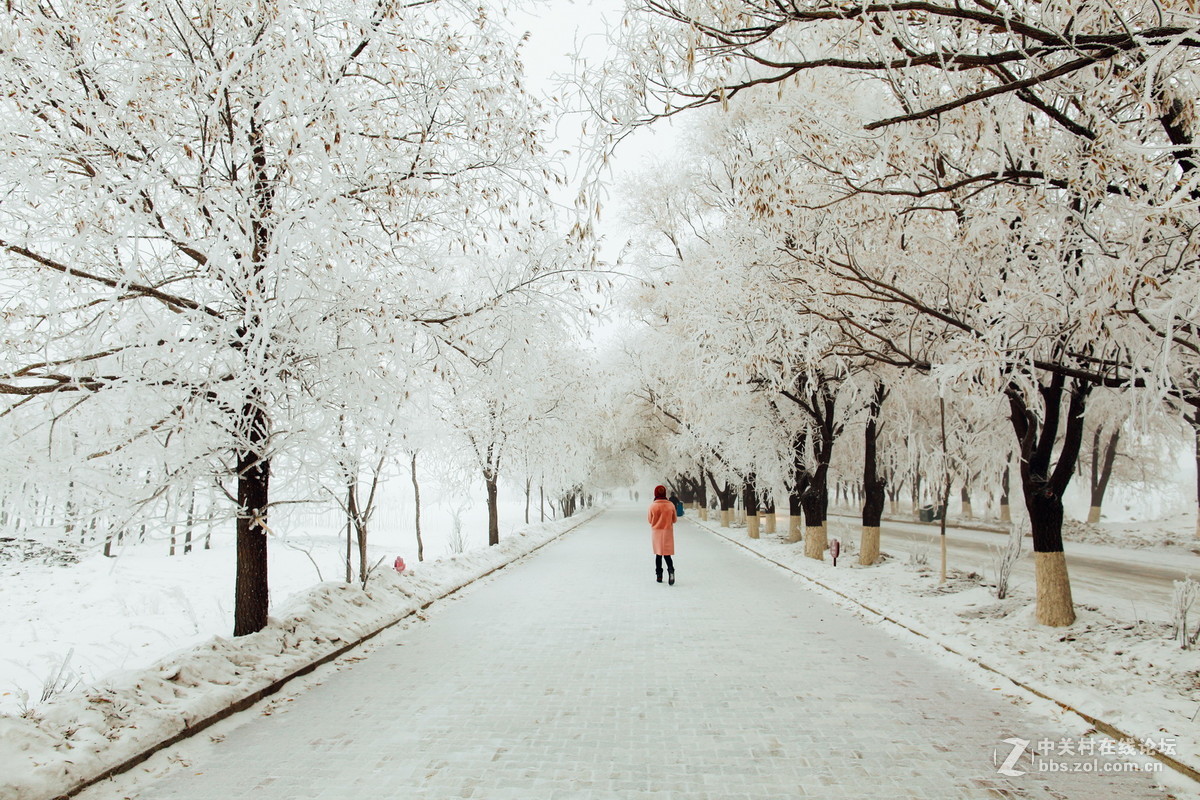24L雾凇景色加人像