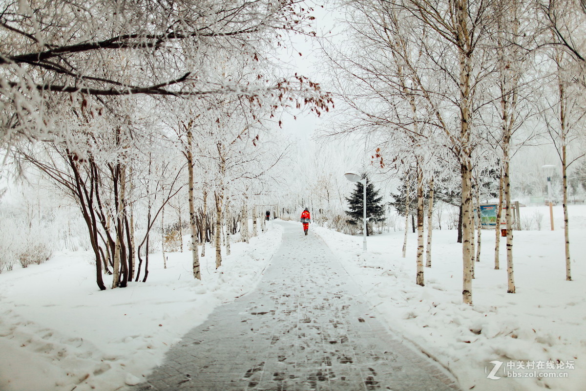 24L雾凇景色加人像
