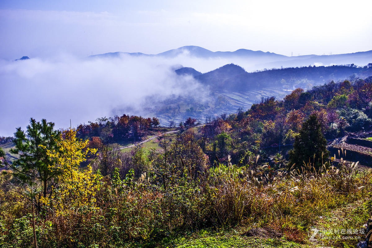 富士X100T的色彩感觉