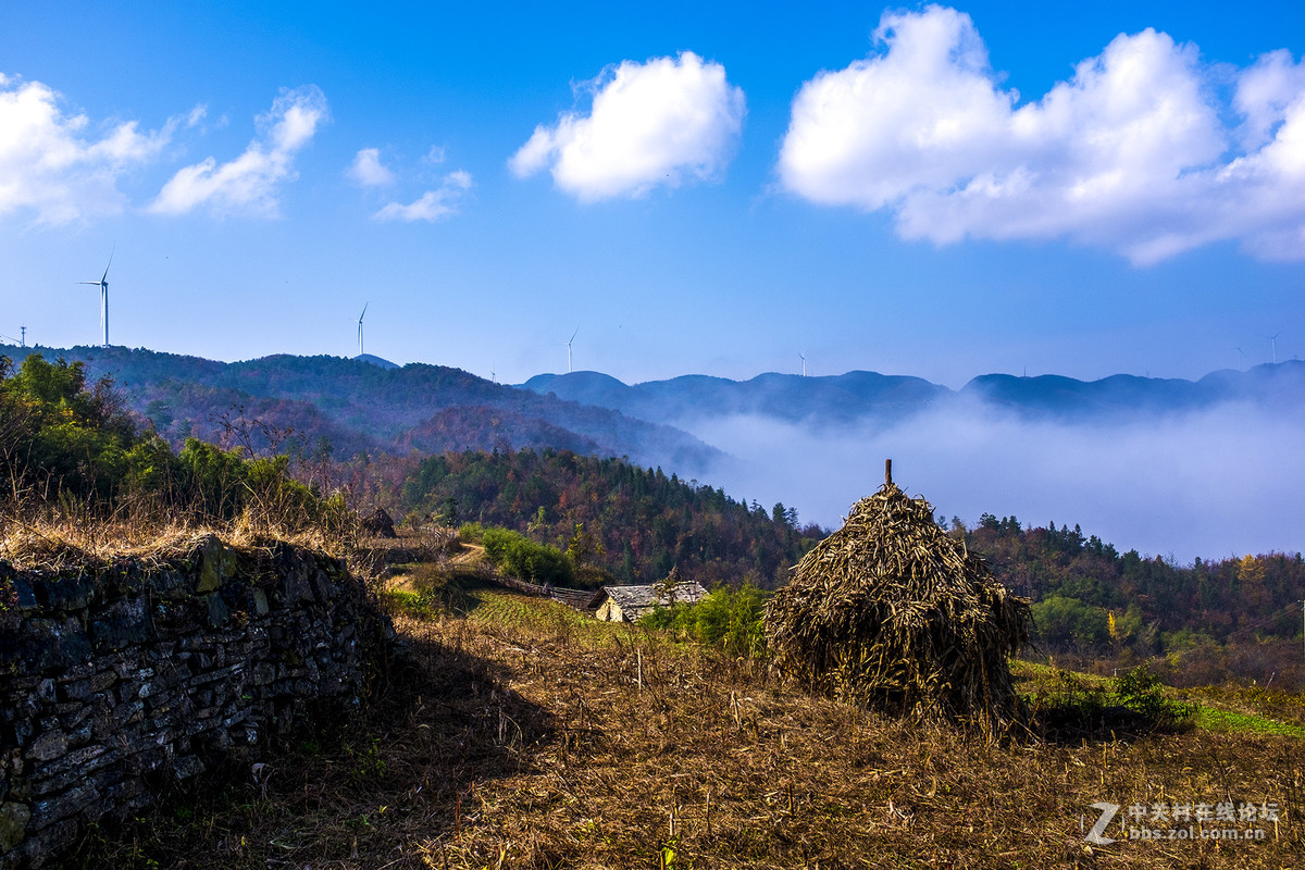 富士X100T的色彩感觉