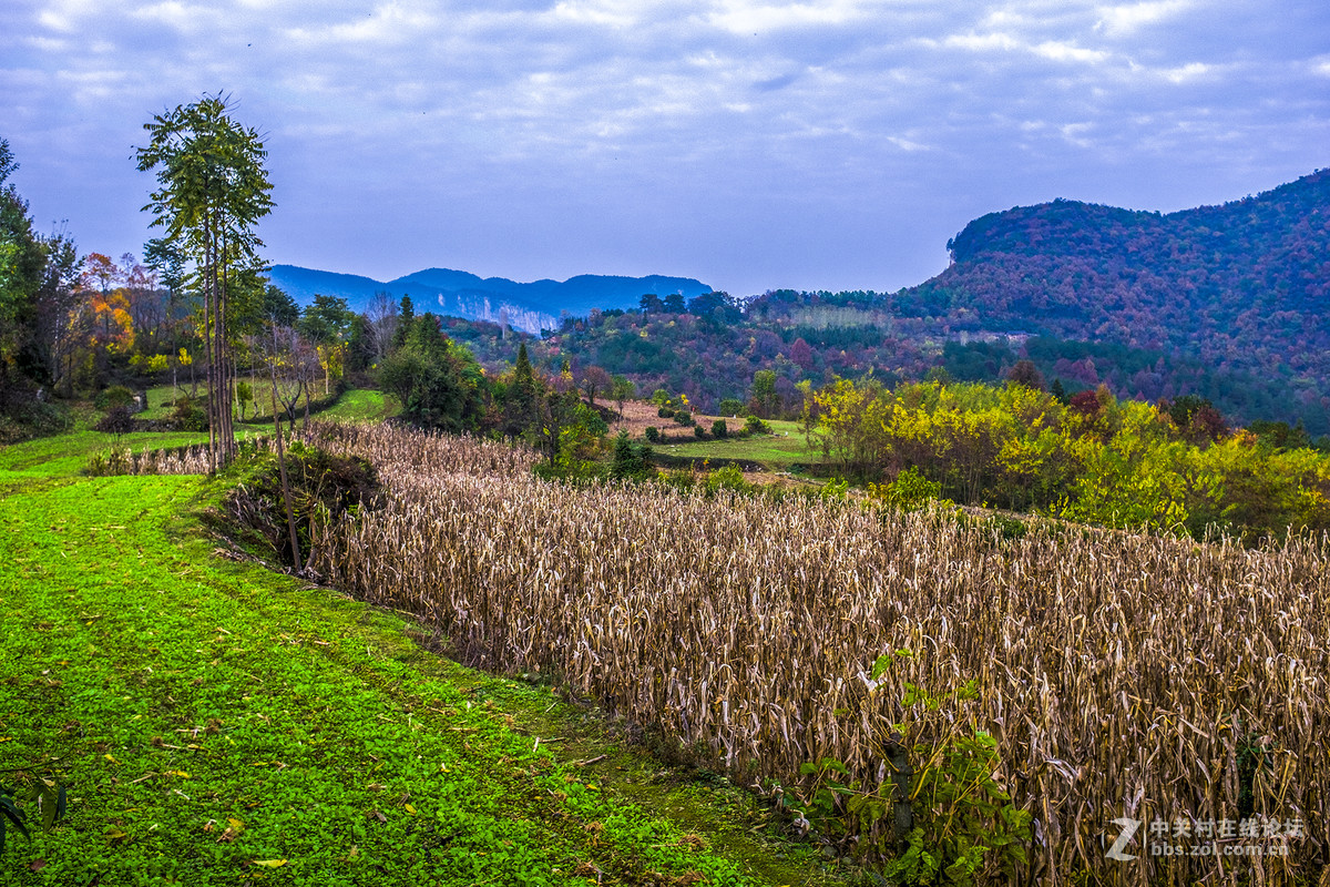 富士X100T的色彩感觉