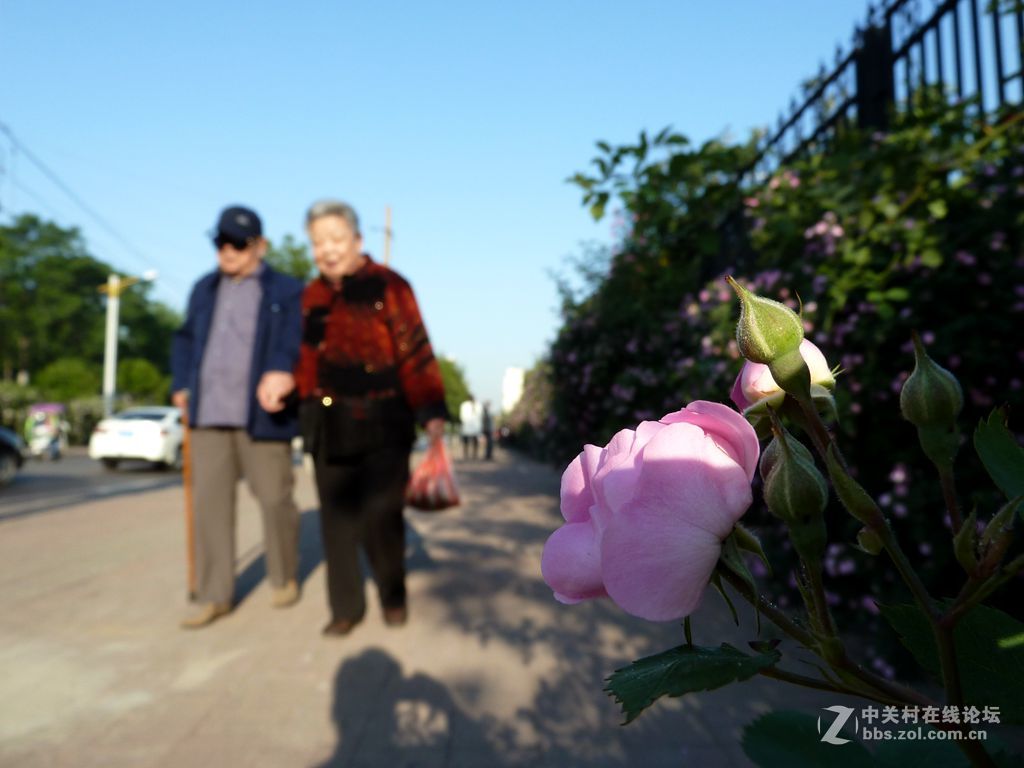 花开时节又逢君