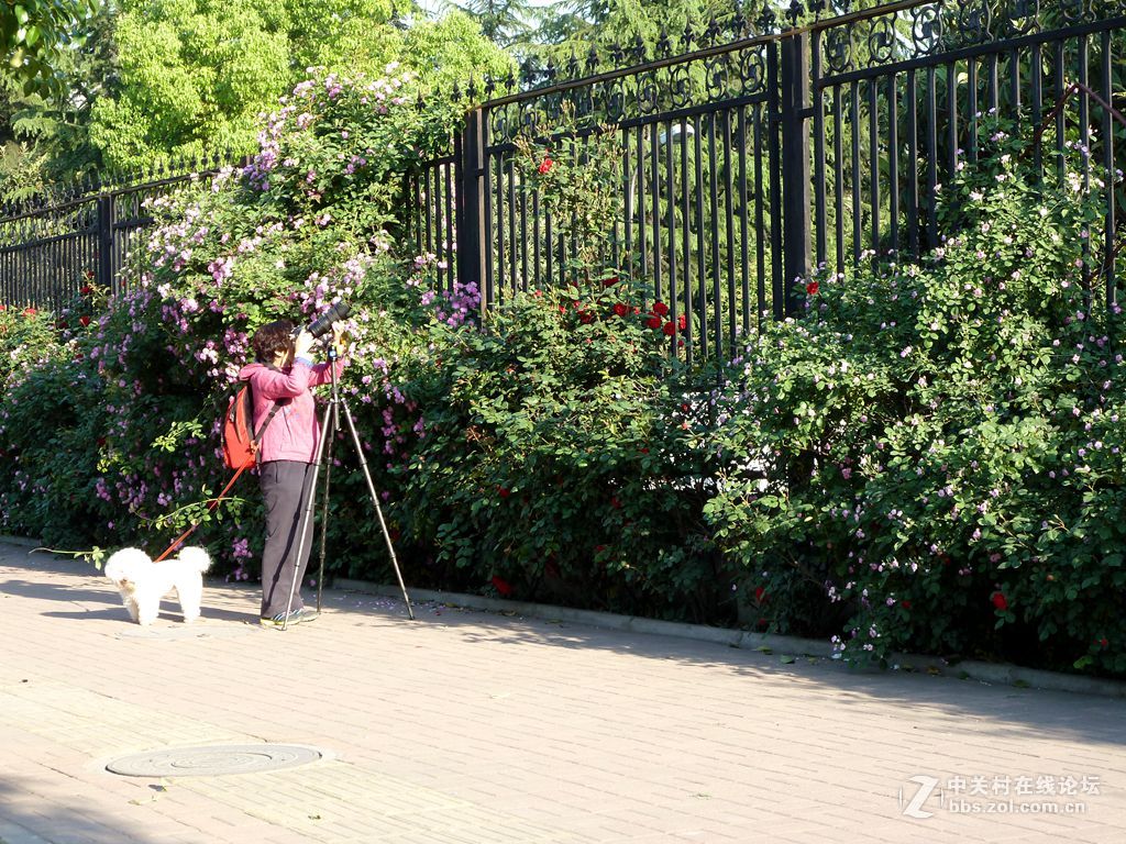 花开时节又逢君