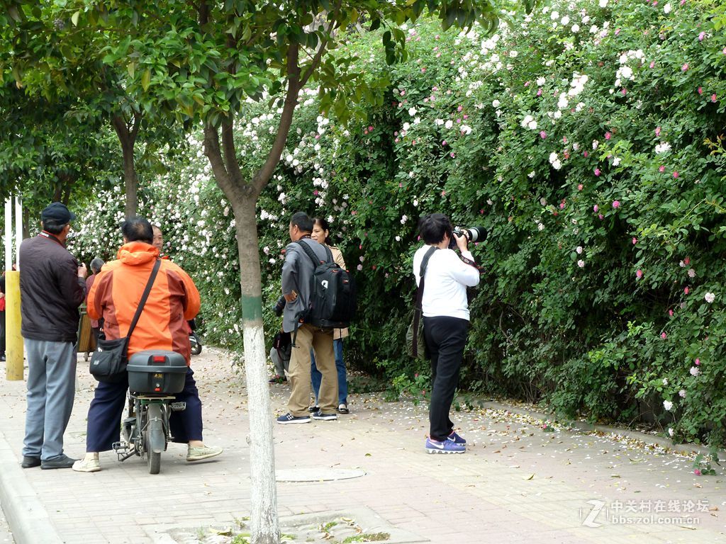 花开时节又逢君