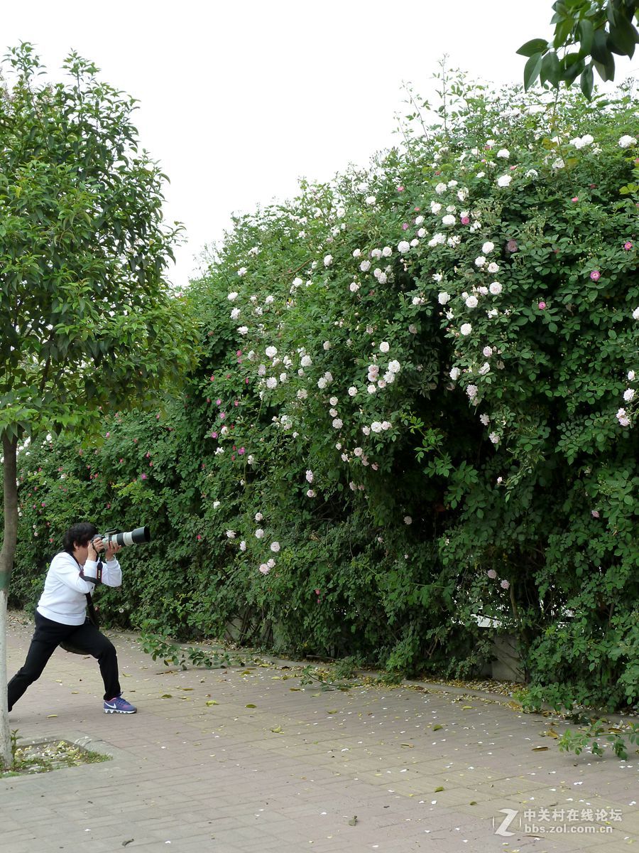 花开时节又逢君