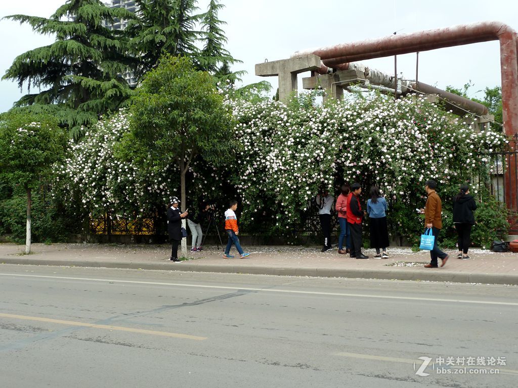 花开时节又逢君