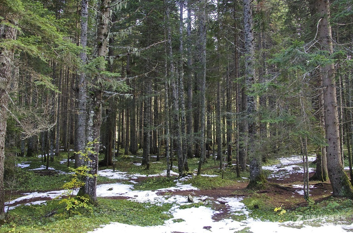 黑山随拍（1）——塔拉河谷大桥与杜米托尔国家公园