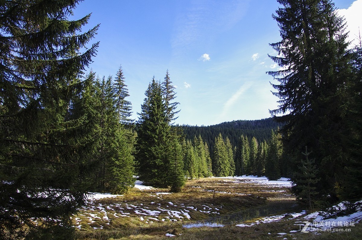 黑山随拍（1）——塔拉河谷大桥与杜米托尔国家公园
