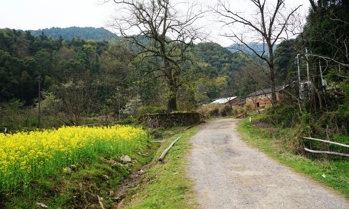 山村老屋