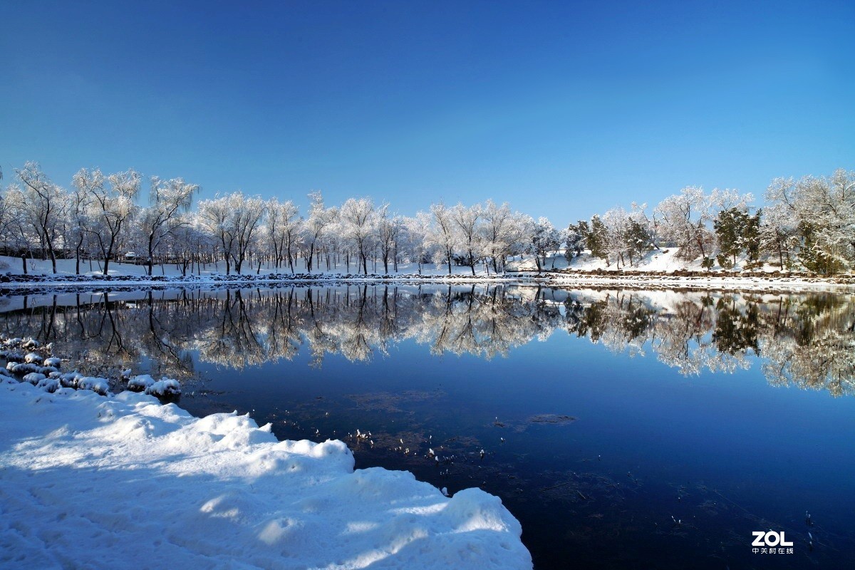 祝各位老师鼠年身体健康,阖家幸福,万事如意,大吉大利！