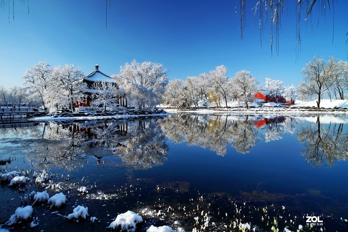 祝各位老师鼠年身体健康,阖家幸福,万事如意,大吉大利！