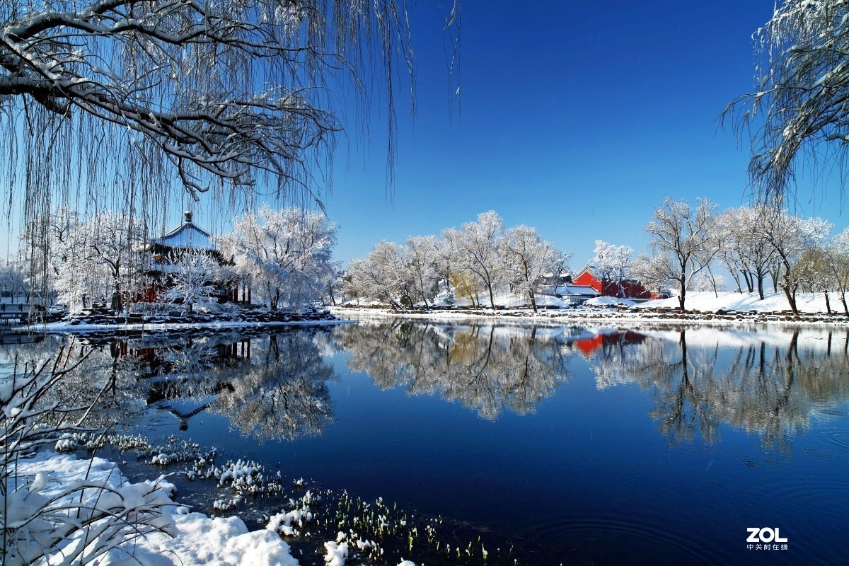祝各位老师鼠年身体健康,阖家幸福,万事如意,大吉大利！
