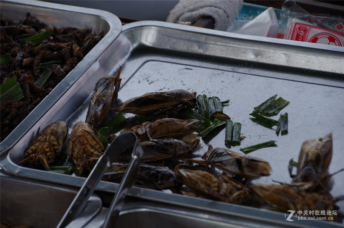 泰国曼谷卧佛寺随拍，宾得K50+18-270，内有恐怖小吃图