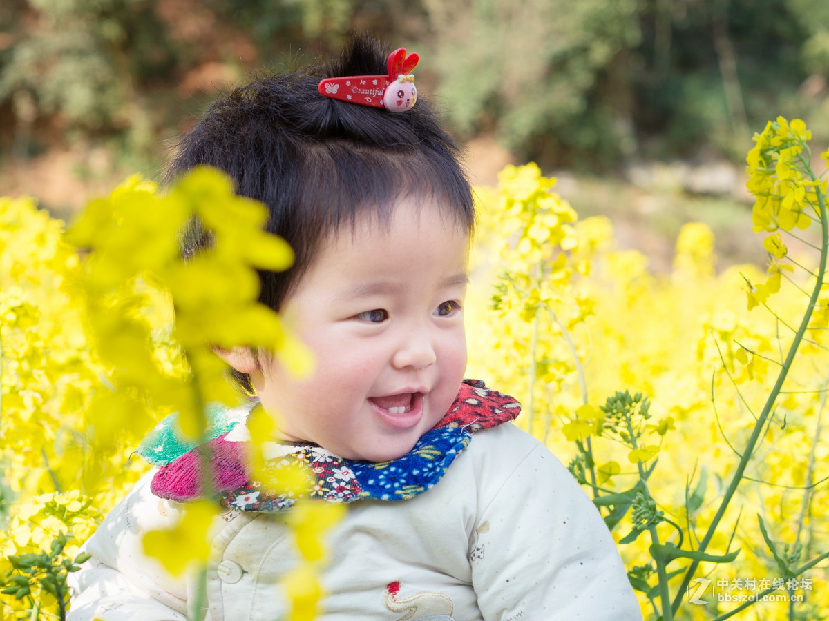 乐在花丛中——贺“侨乡星空(中国)”添新版主