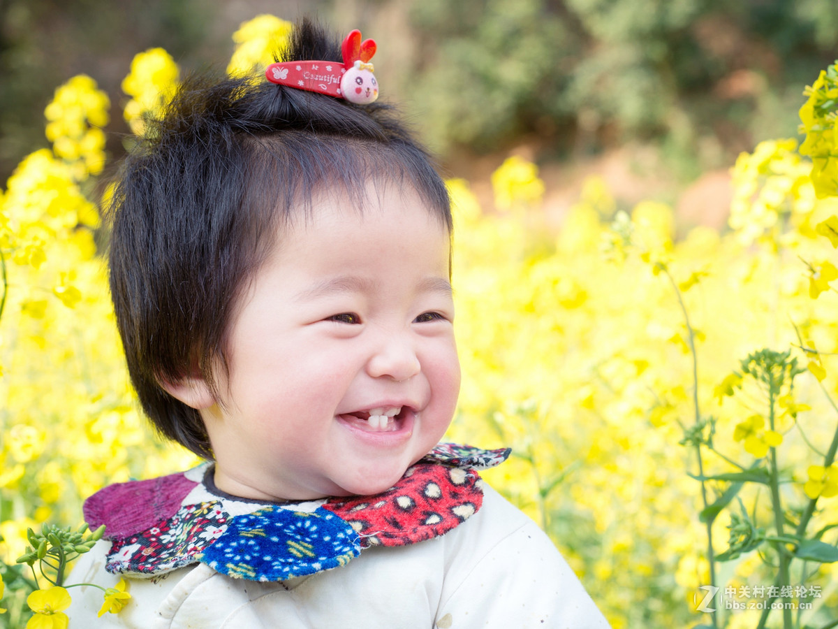 乐在花丛中——贺“侨乡星空(中国)”添新版主