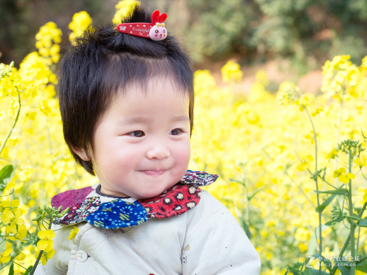 乐在花丛中——贺“侨乡星空(中国)”添新版主