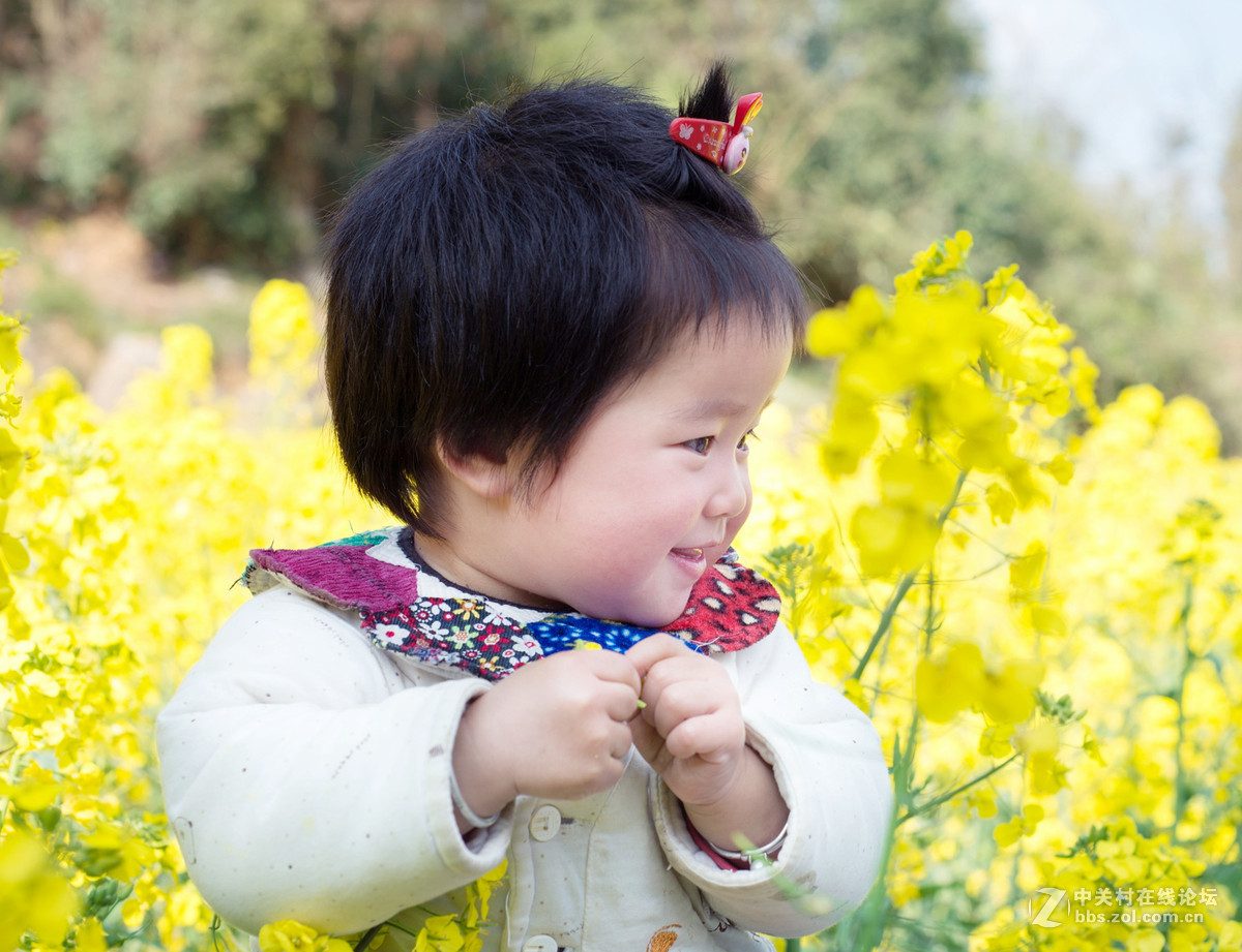 乐在花丛中——贺“侨乡星空(中国)”添新版主